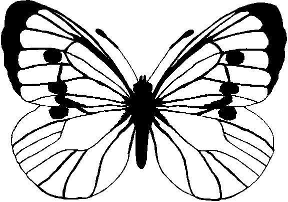 A short word or name can be included in the butterfly design