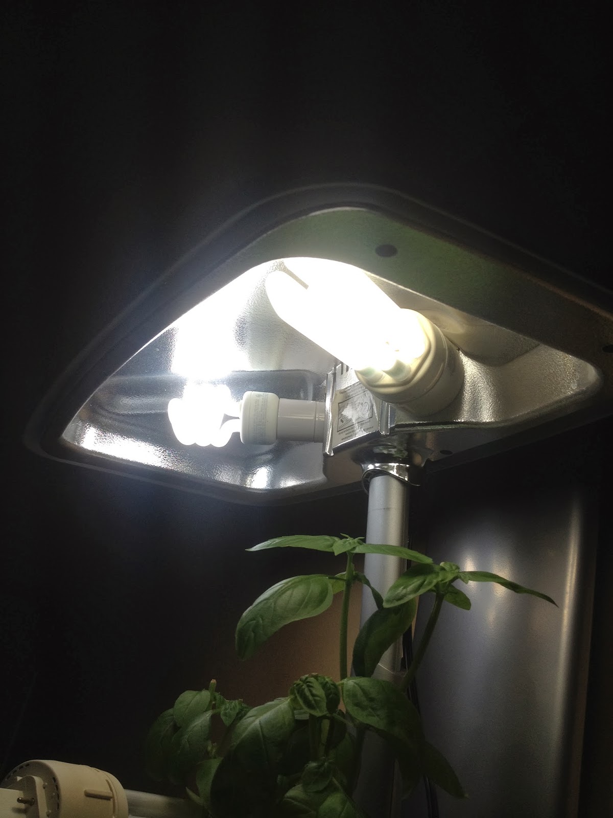 Alternative For Aerogarden Grow Lights Adapters Voila Instead Of Shelling Another 13 For A New Light Bulb From Aerogrow I Ended Up Using 1 42 While Will Tell You That Its Lights