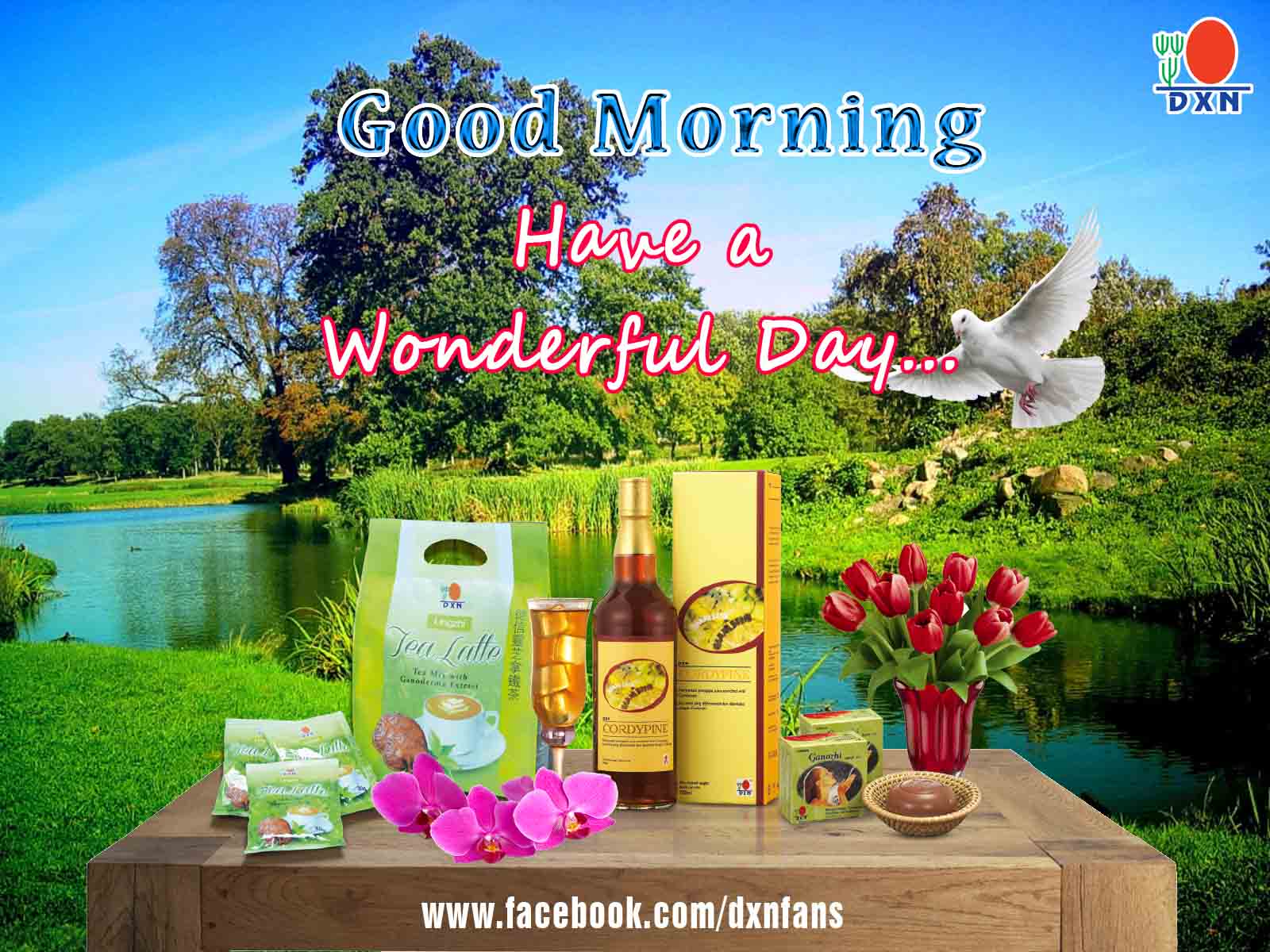 Welcome to the DXN Fans Blog: Good Morning DXN