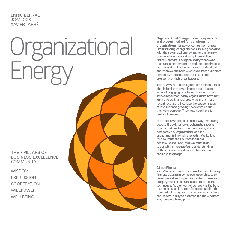 Organizational Energy 7 pillars of business excellence Organizational Energy 7 pillars of business excellence