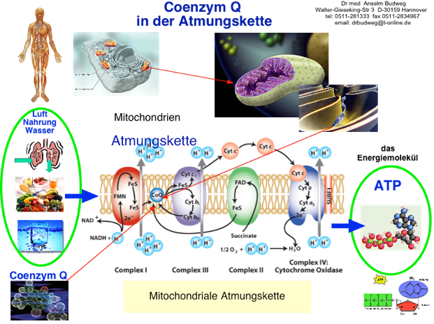 Conceplan m dosierung ciprofloxacin Conceplan m dosierung ciprofloxacin