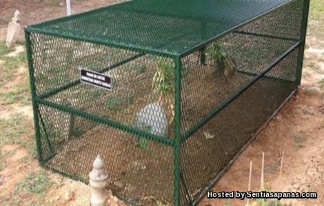 Kubur Nik Aziz Dipagar Elak Bidaah Kubur Nik Aziz Dipagar Elak Bidaah