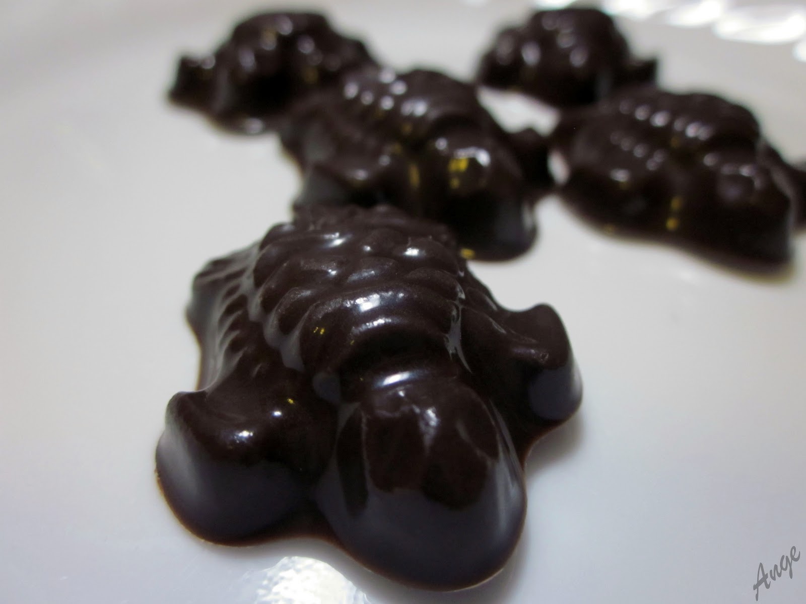 The Daily Turtle 339 Chocolate Turtles