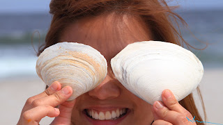 beach sea shell portrait
