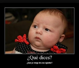 Imagenes chistosas con bebes Imagenes chistosas con bebes