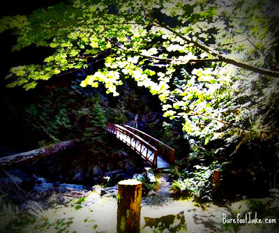 skyline trail