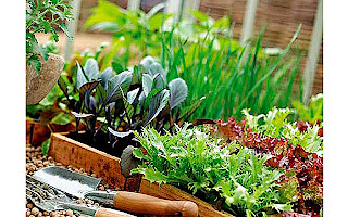 Садово-огородная магия: заговоры и советы для вашего урожая (чсть 1)