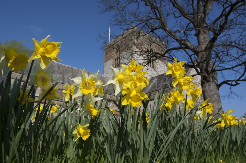 Redefining the Face Of Beauty WORLD'S SMALLEST MICROCITIES!
