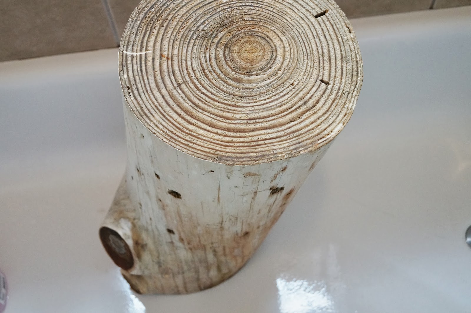 Don't Disturb This Groove Bleached TreeStump Tables