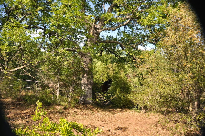 sacrement de la rencontre