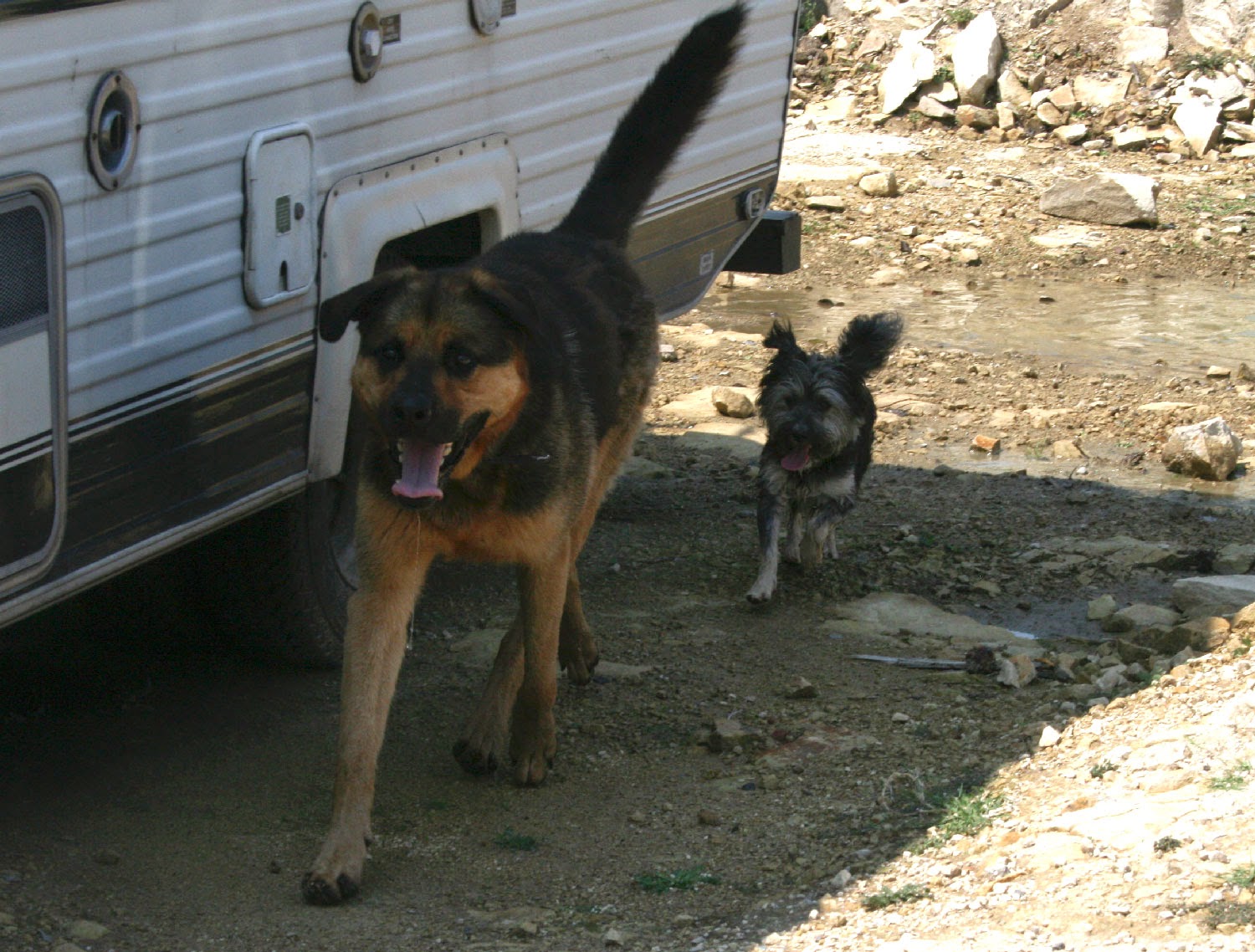 Here they both come Here they both come