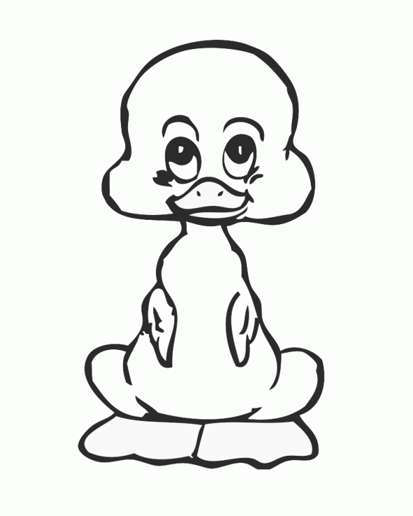 Baby Ducks Coloring Pages Pictures