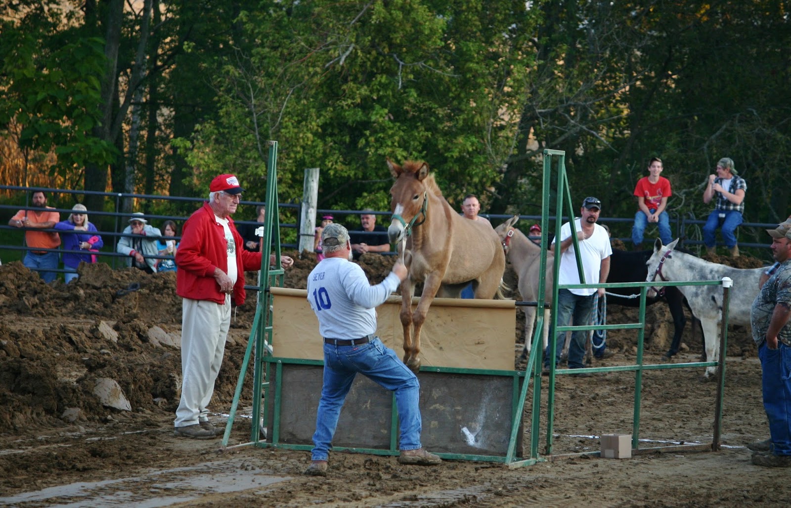 The Missouri Mom Behind my Lense at the East Perry Community Fair in