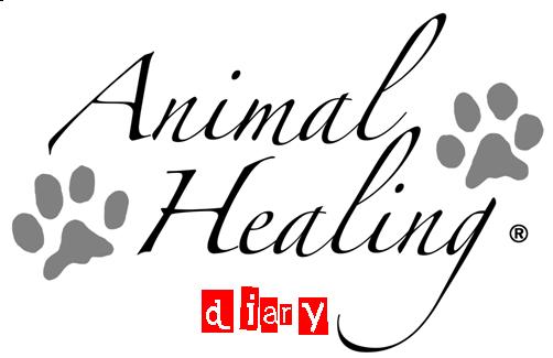 Animal Healing's Diary