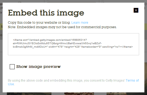 Screen shot of the embed dialog.