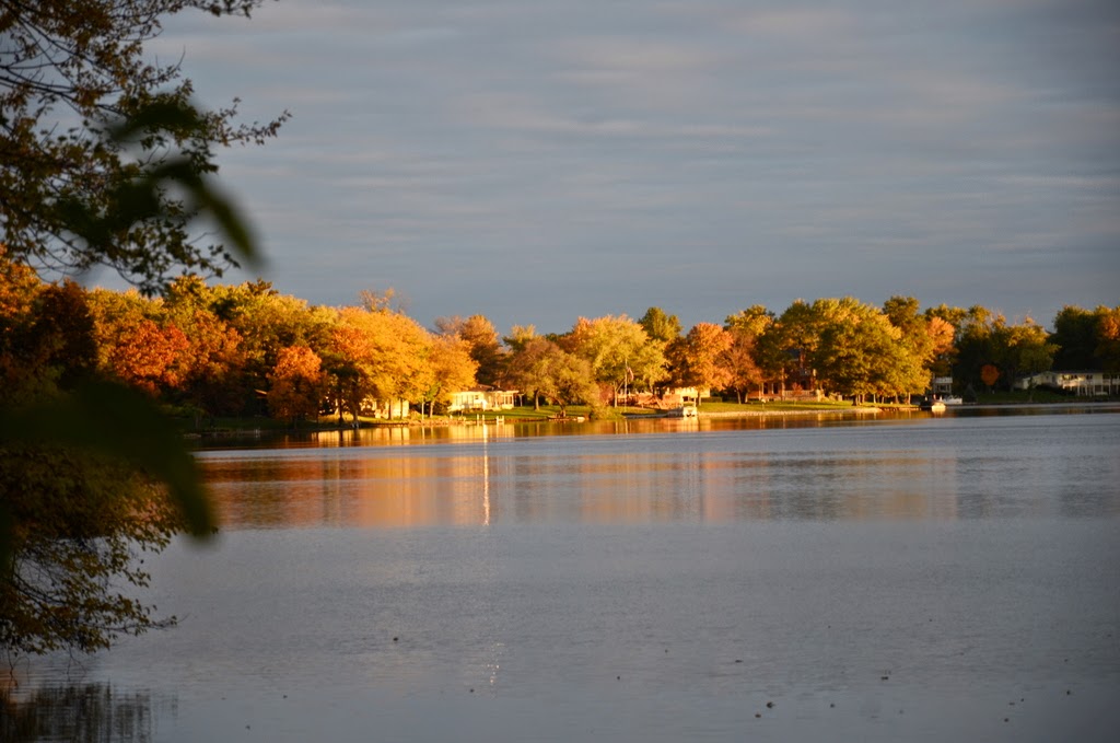 Bayles Lake Loda Il at Ginger Alexander blog