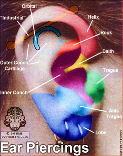 Many ear piercings in general