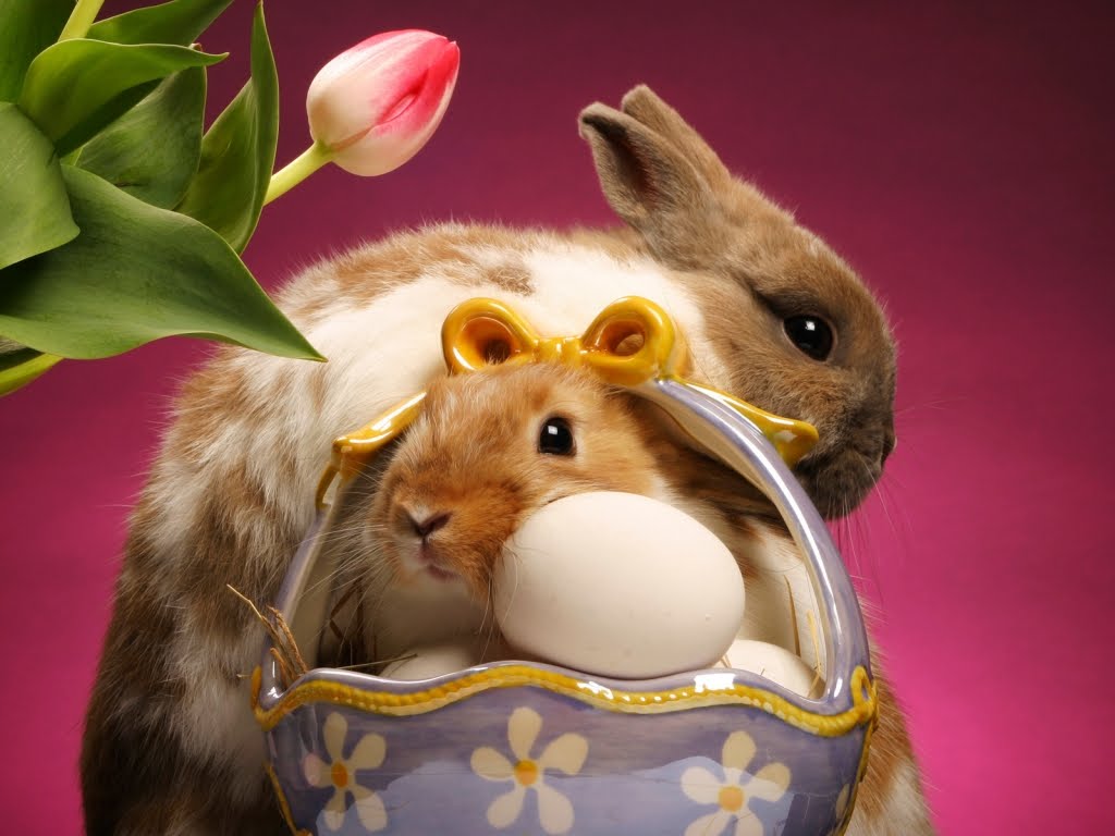 Free Wallpapers for Desktop Easter rabbits