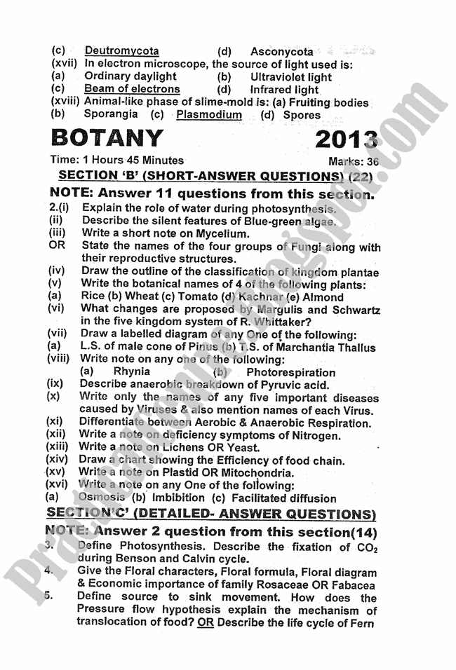 Botany-2013-five-year-paper-class-XI