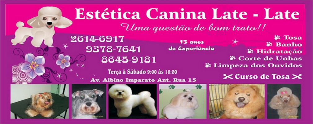 Estética canina.