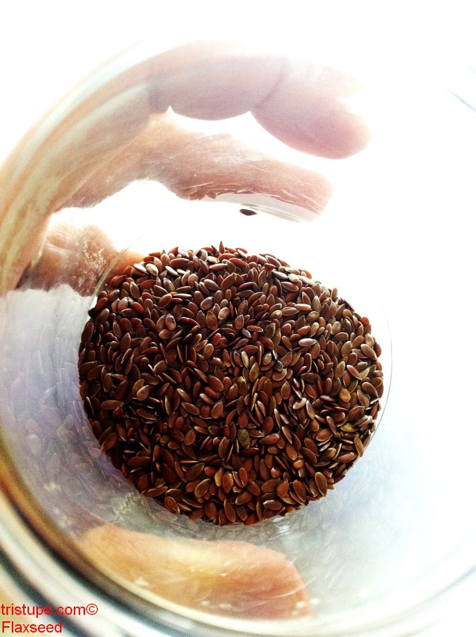 The Flaxseed Connection