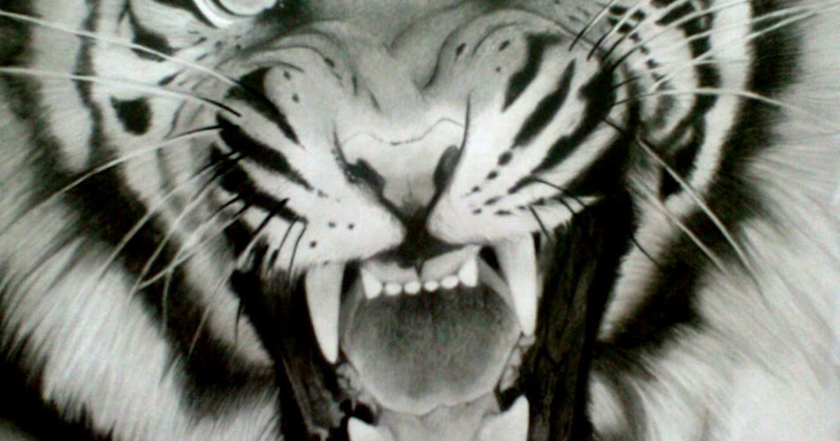 Siberian Tigers