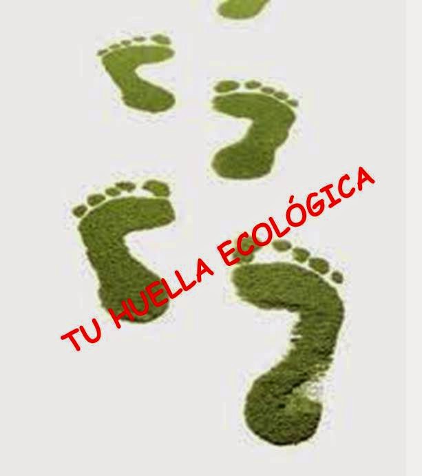 <a href=>”http://www.miliarium.com/formularios/huellaecologicaa.asp”<img src=“http://recursosenelcarmen.blogspot.com.es/2014/01/huella-ecologica.html”></a>