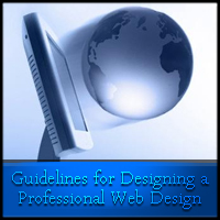 Guidelines for Designing a Professional Web Design