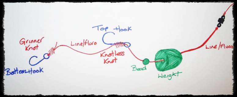 28 Knotless Knot Diagram Understanding Carp Rigs Part I Big