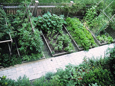 Backyard Vegetable Garden Design Plans