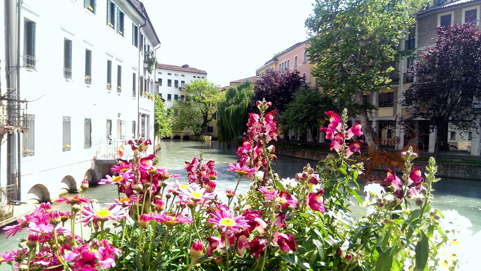 #Treviso - Foto di Monica Gatti per il blog La gatita sotto le due Torri