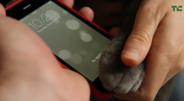 Cats Can Register And Unlock iPhone 5s Using Touch ID Fingerprint Sensor