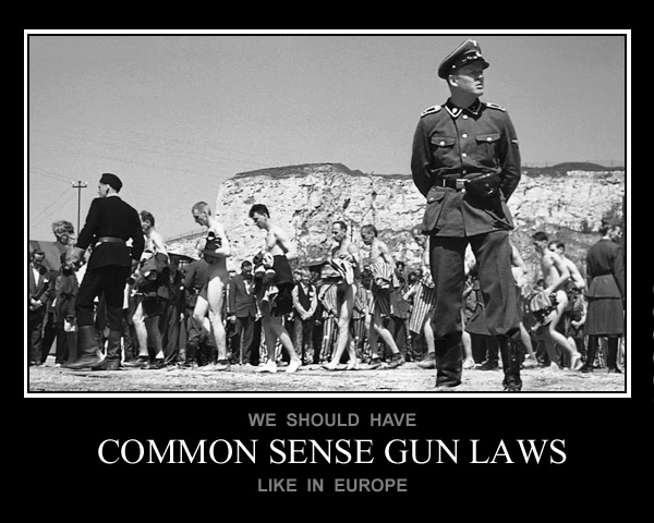 common-sense-gun-laws.jpg