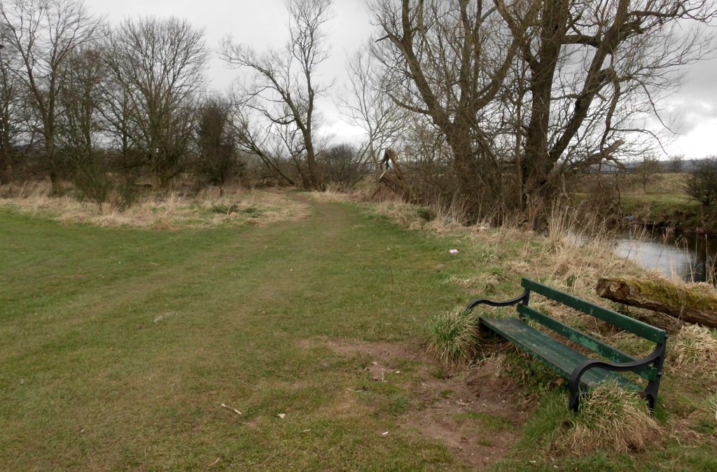 My Daily Walk Centenary Walk, Haws Park, Bridge of Allan