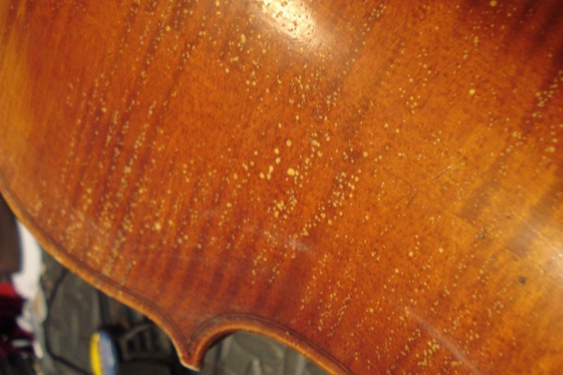 The Violin Shop July 2012