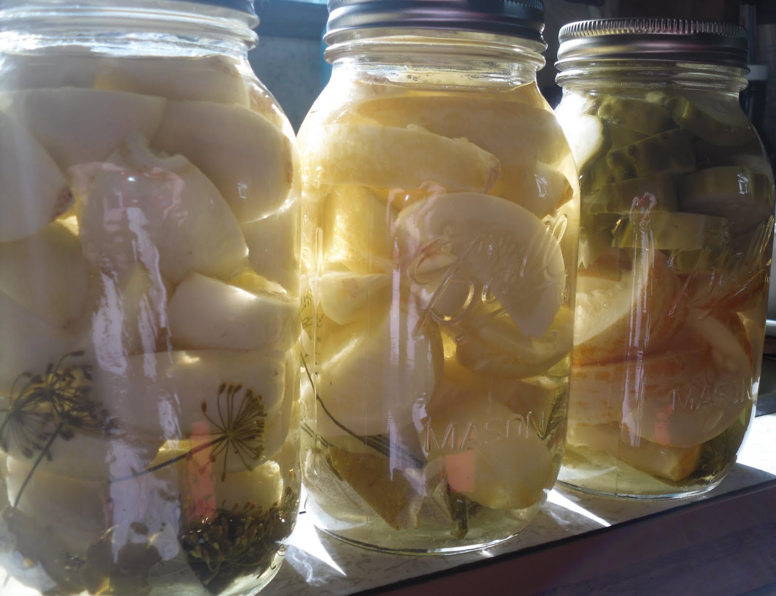 Simply Loving Home Lemon Cucumbers... Dill Pickles