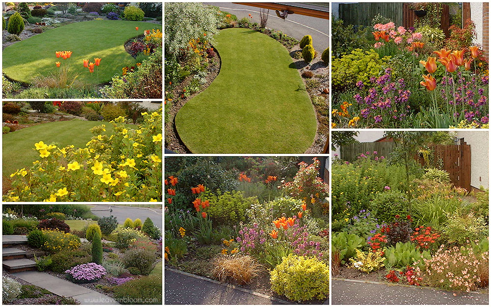 spring and summer flowering borders spring and summer flowering borders