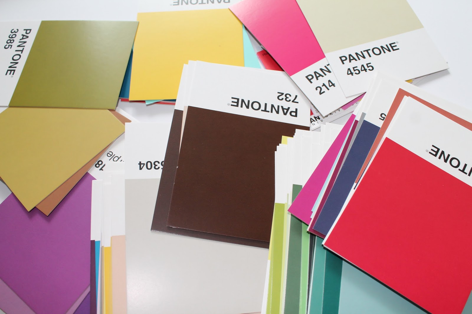 Paint Chip Wall Art LINDSEY CRAFTER