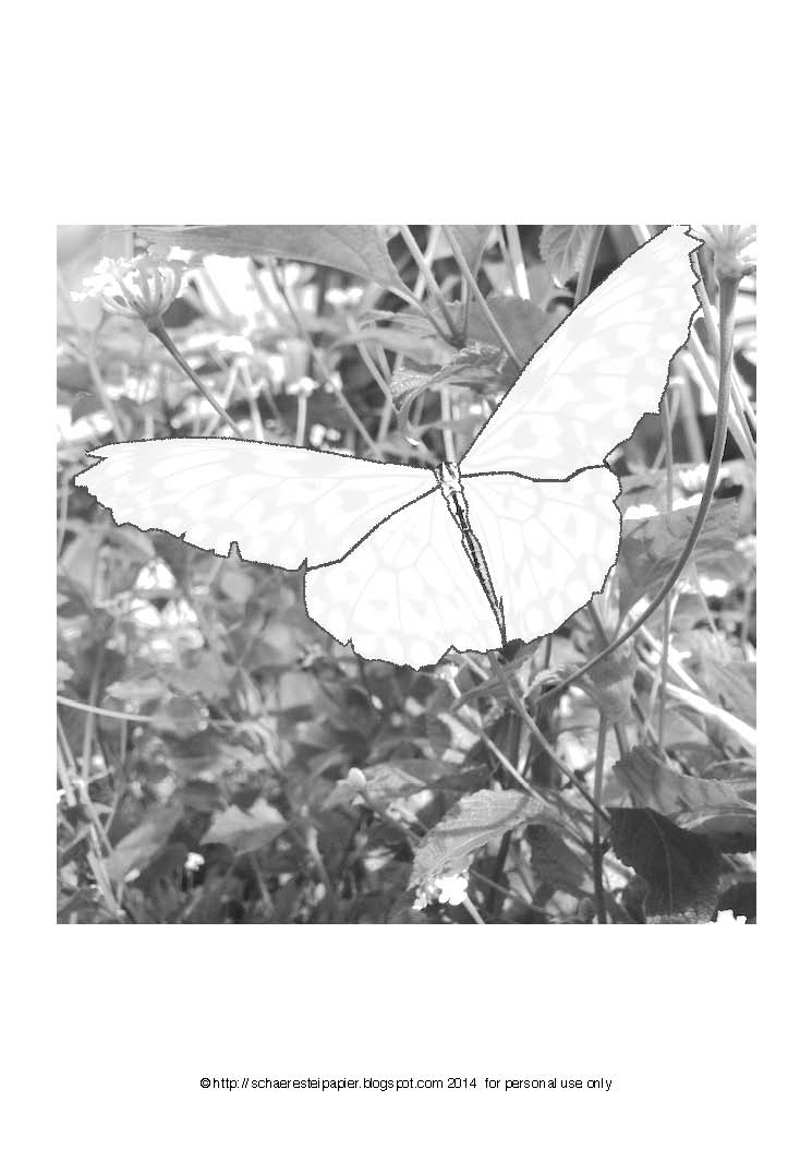 Kostenlose Malvorlage: Schmetterlinge auf der Blumenwiese