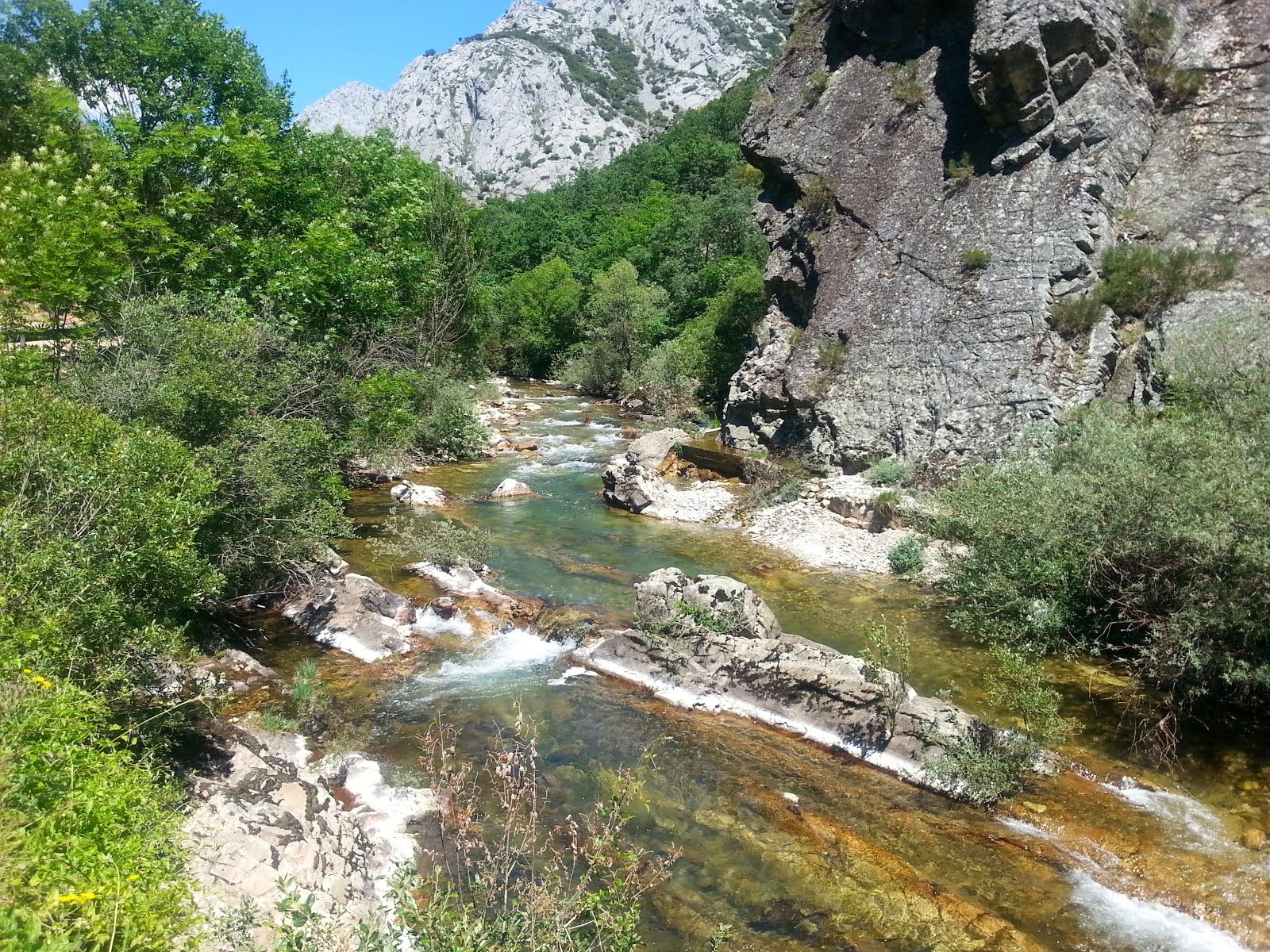 RIO CURUEÑO