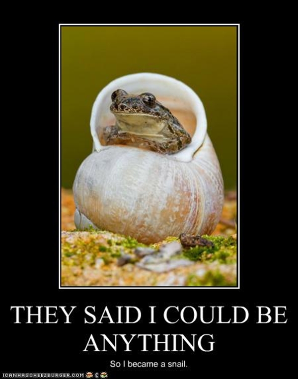 funny-pictures-animal-meme-they-told-me-i-could-anything-019.jpg