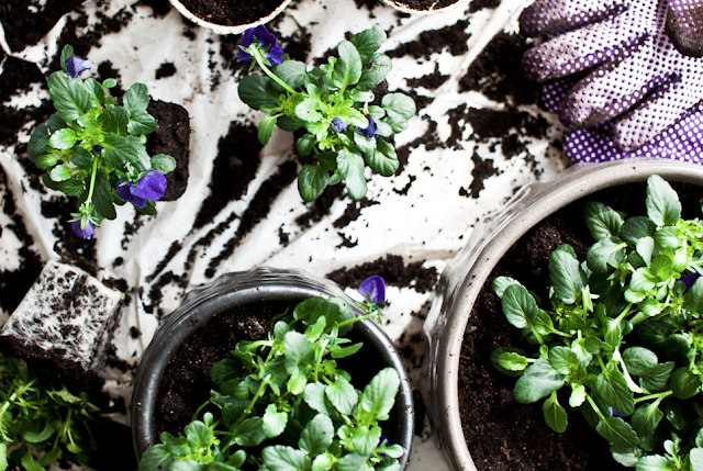 Vårforbredelser Vårforbredelser