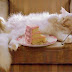 Choupette Lagerfeld's Cat is Not a Siamese
