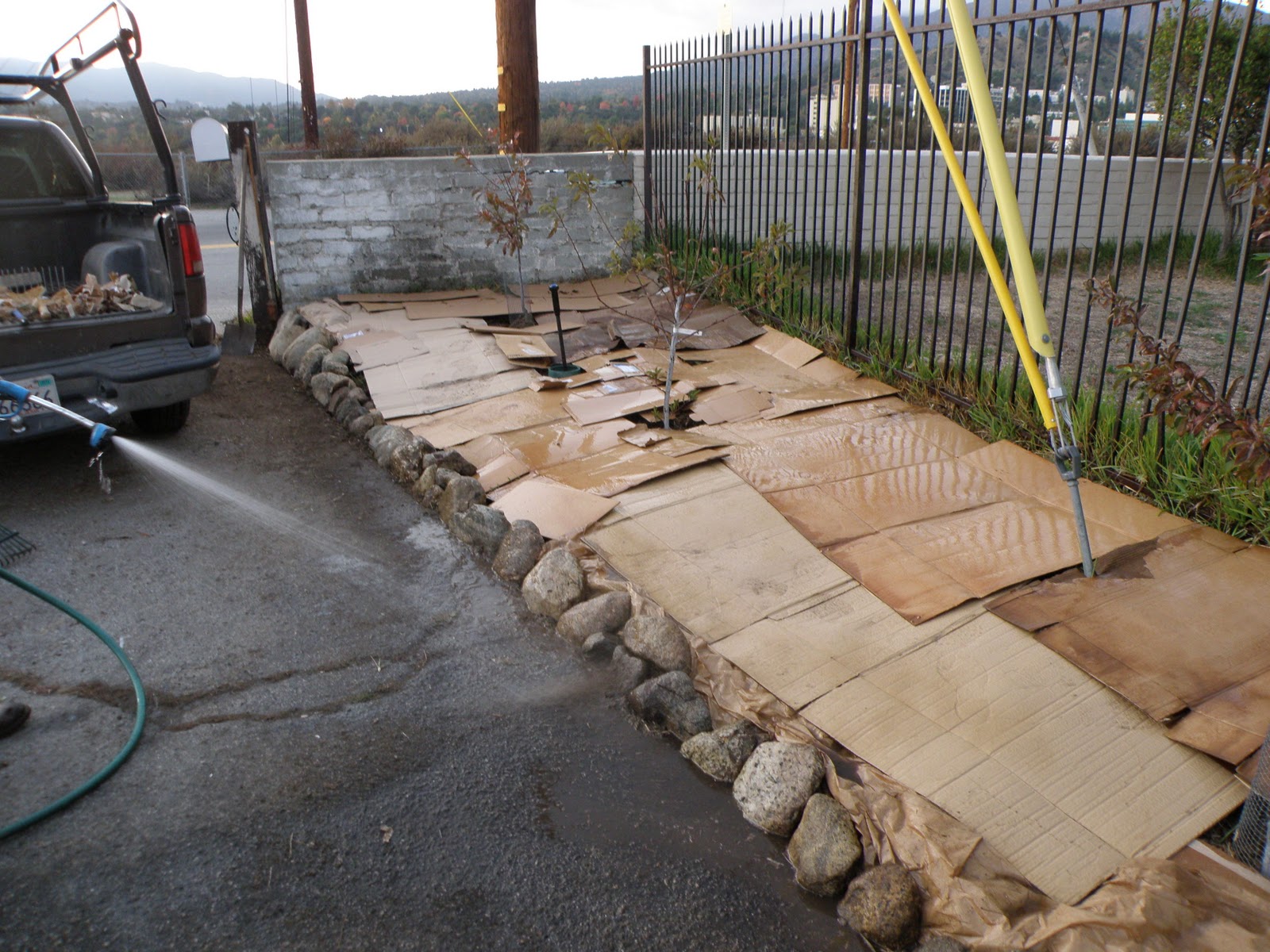 A Thinking Stomach Mulch Mania