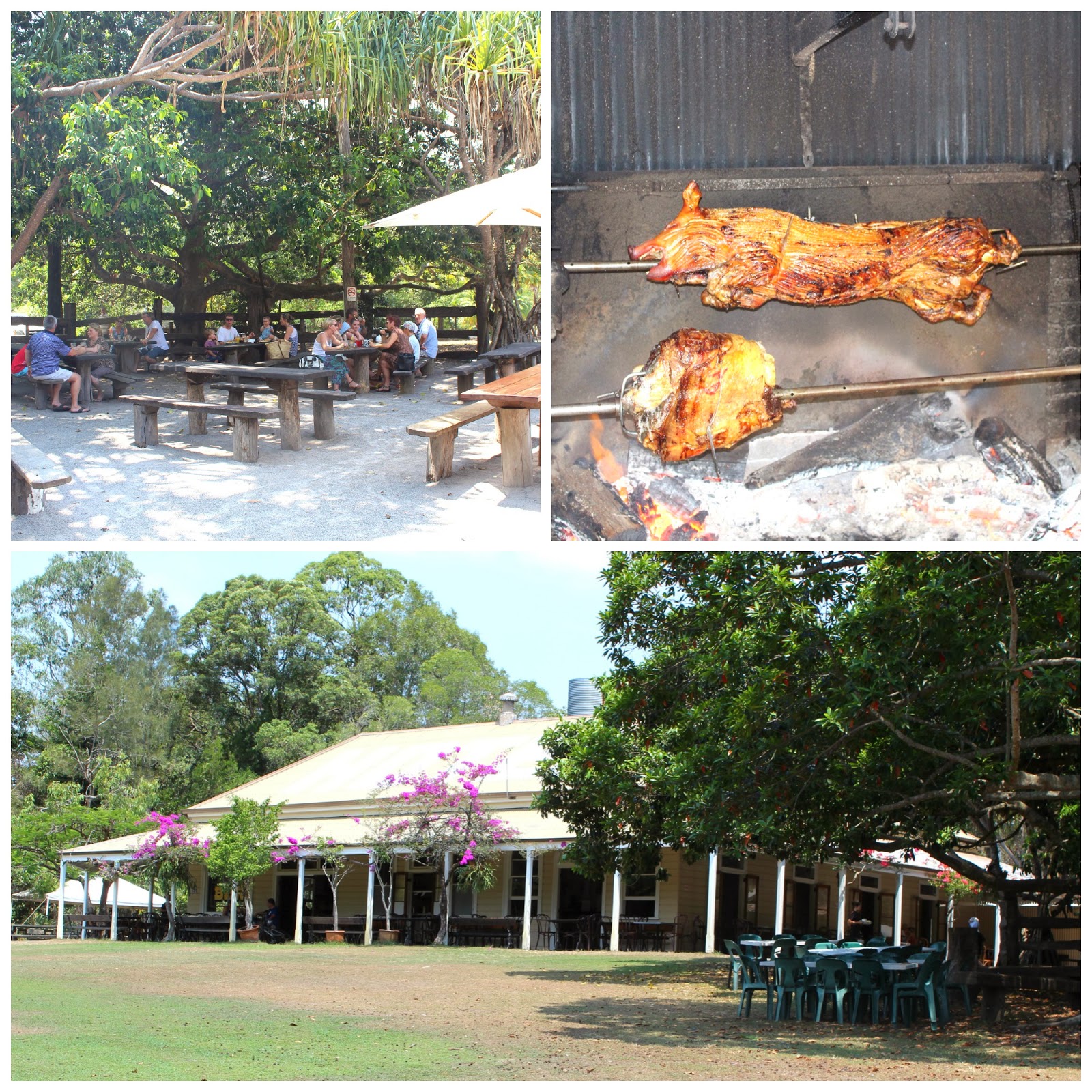 The Apollonian Hotel Boreen Point Desire Empire