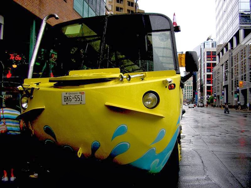 Ritebook The Amphibious Buss Harry Hippo, Toronto, Canada