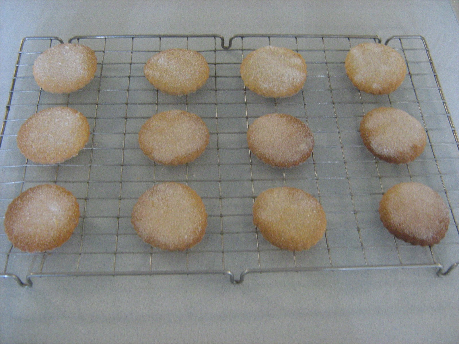 Nova Cooks Basic Biscuits Function of Ingredients