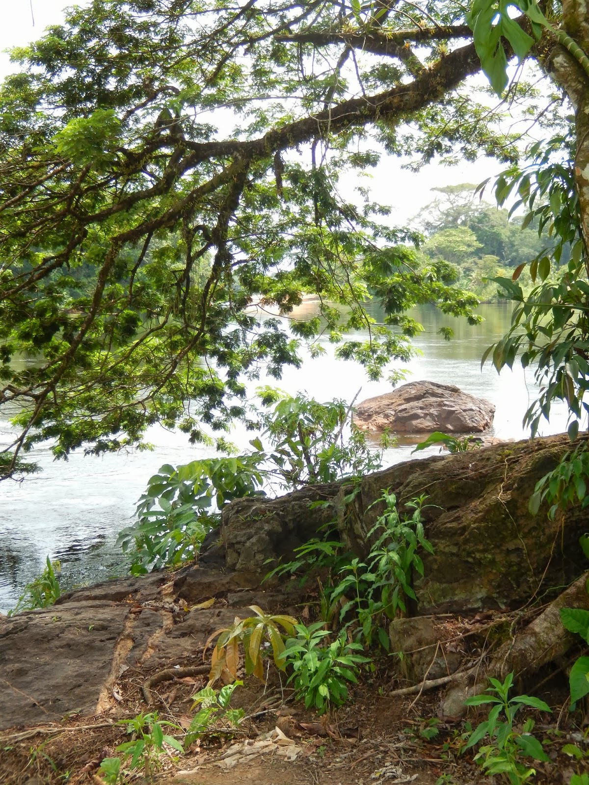 suriname Brokopondo suriname Brokopondo