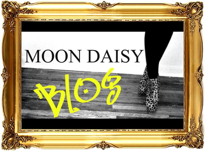 Moon Daisy at the Disco