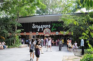 Going To The Zoo Singapore Zoo
